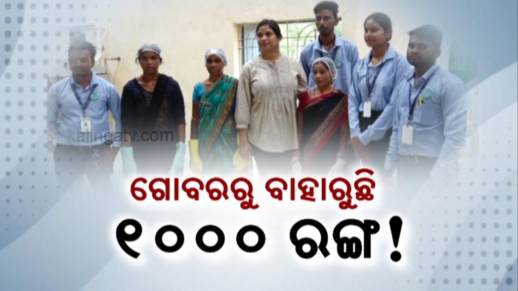 Paint Made Up Of Cow Dung By SHG Group In Bargarh || Zilla Khabar || Kalinga News